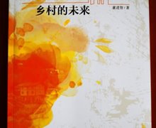 董进智：《艺术化：乡村的未来》